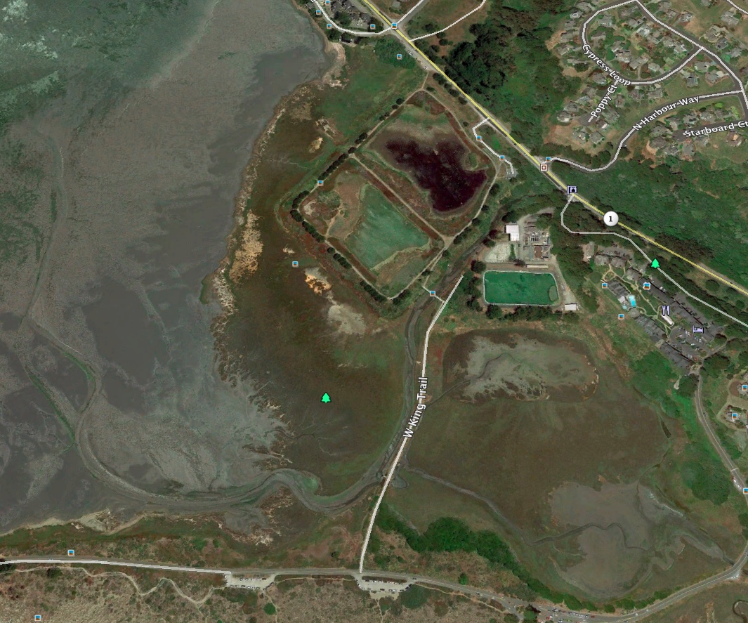 Cheney Gulch Freestone Ranch